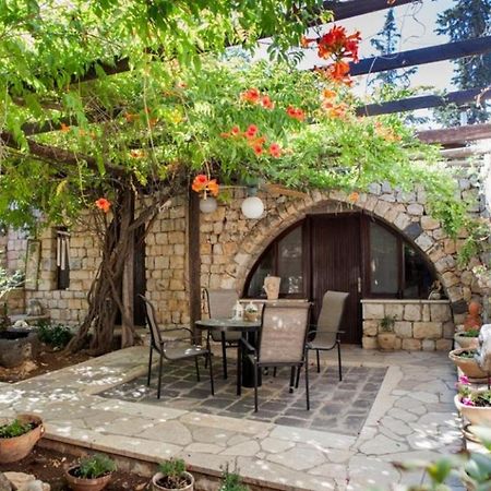 Villa Galilee Magic Mansion à Rosh Pina Extérieur photo